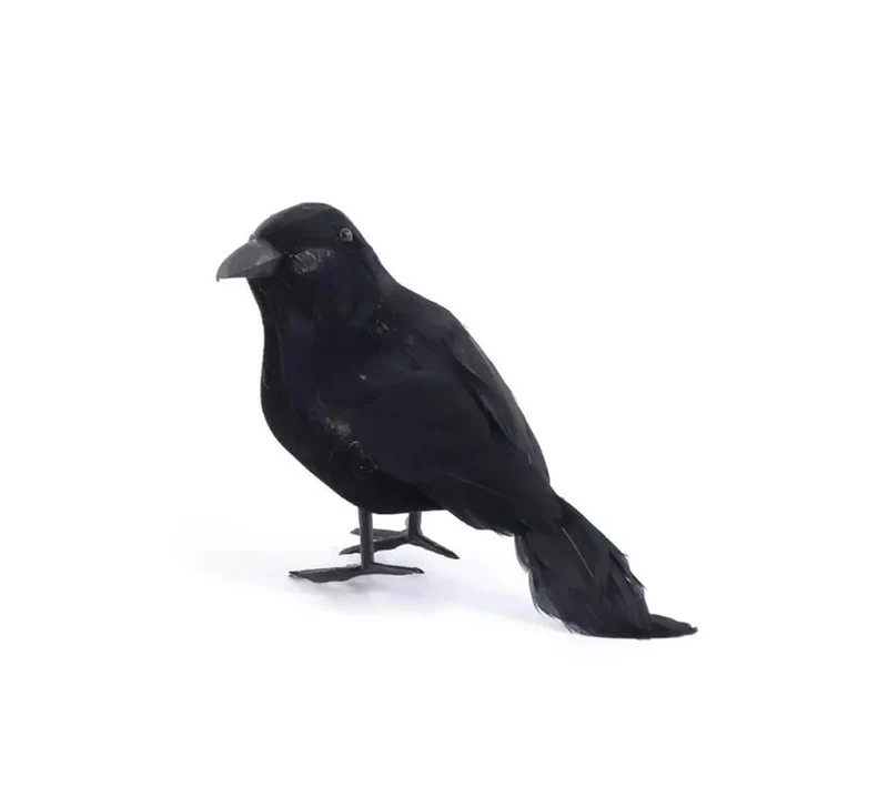 Cuervo plumas largas negro de 14 cm T.Única