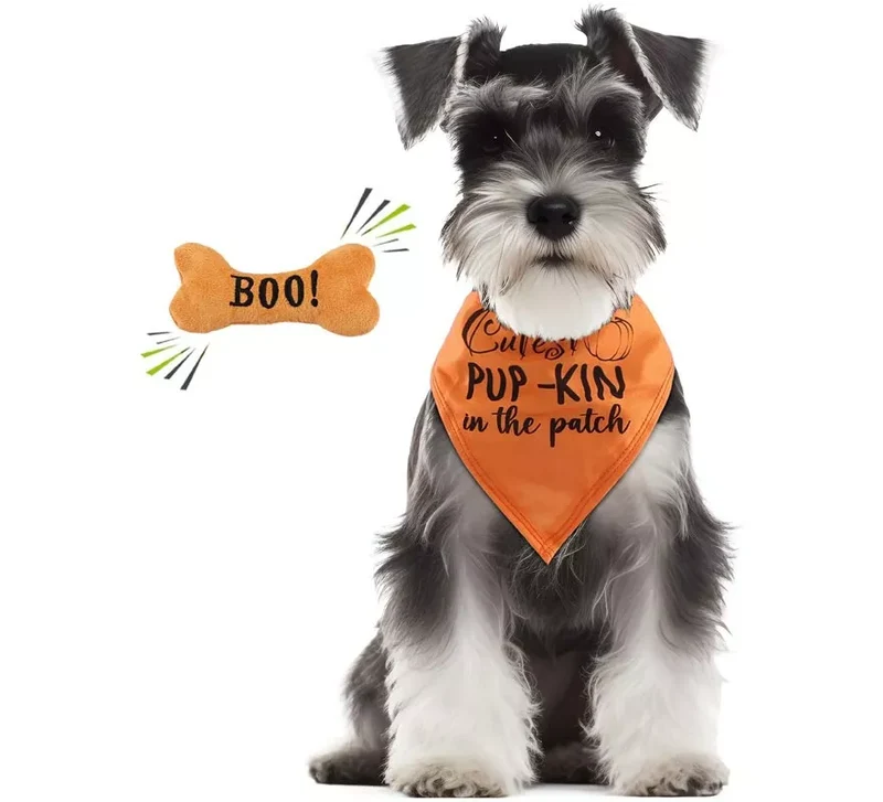 Kit de Calabaza para perro: Pañuelo y hueso Sin talla