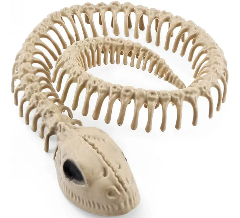Esqueleto Serpiente de 16x3.5 cm Sin talla