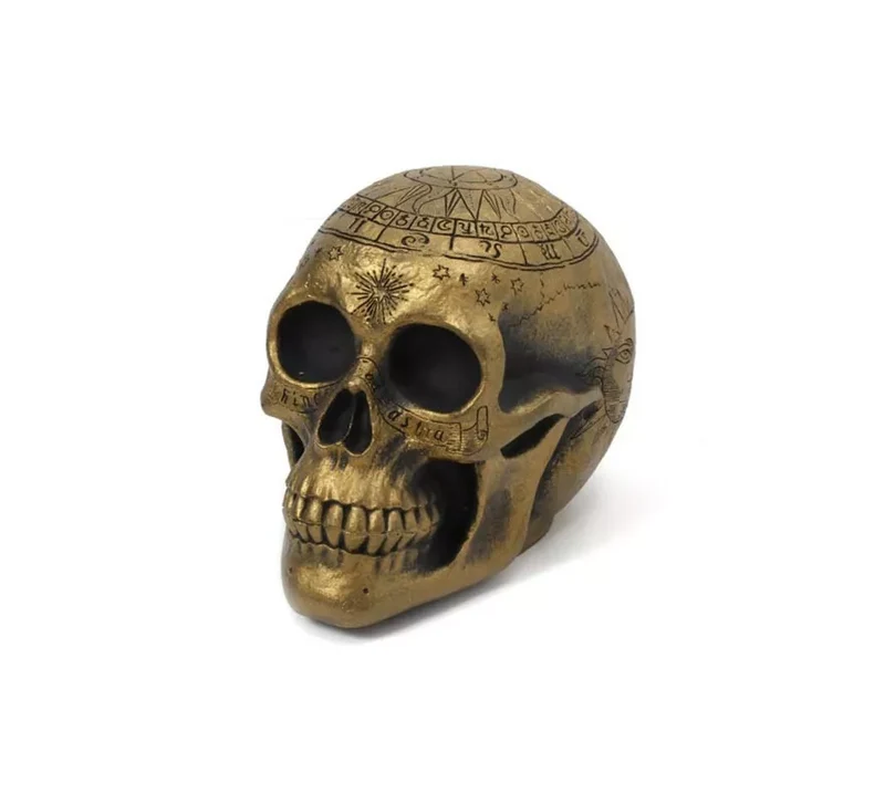 Cráneo de Adivina de 20x14x14 cm T.Única