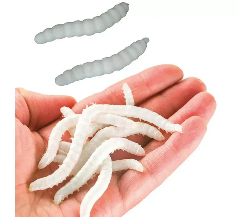 Blíster de 20 Gusanos Elásticos 4 cm Sin talla
