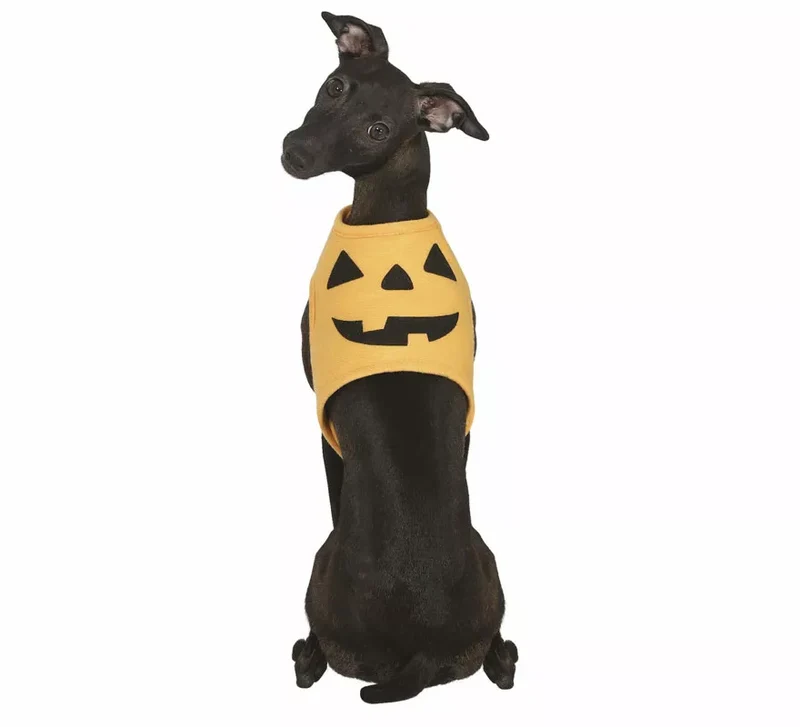 Disfraz de Calabaza Halloween para perro M