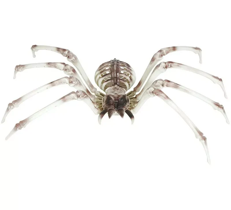 Esqueleto Araña 85x35 cm Sin talla