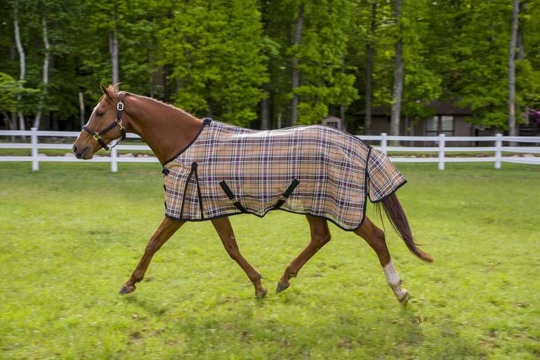 Tuffrider Flyshield Sheet Blue Plaid 69 Safari Plaid / 69