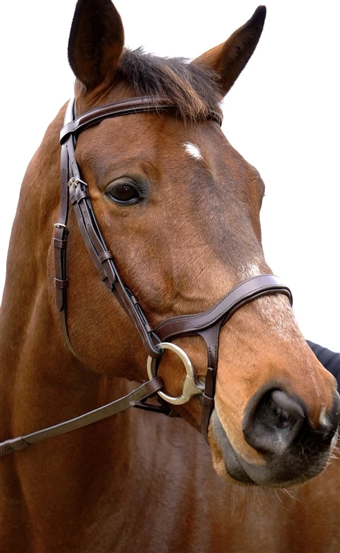 Nunn Finer Innovativo English Bridle with Rubber Reins Havana / Cob