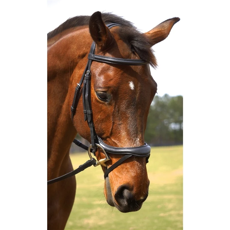 Nunn Finer Aforma Flash Bridle Black / Horse