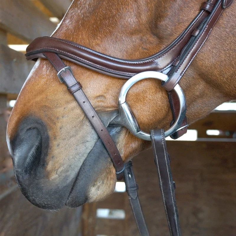 Nunn Finer Aforma Flash Bridle Havana / Horse