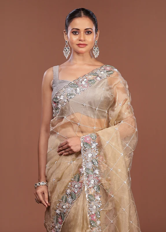 Cream Handloom Tissue Pure Silk Saree With Blouse Piece One Size