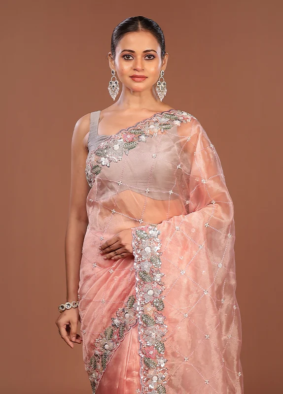 Peach Handloom Tissue Pure Silk Saree With Blouse Piece One Size