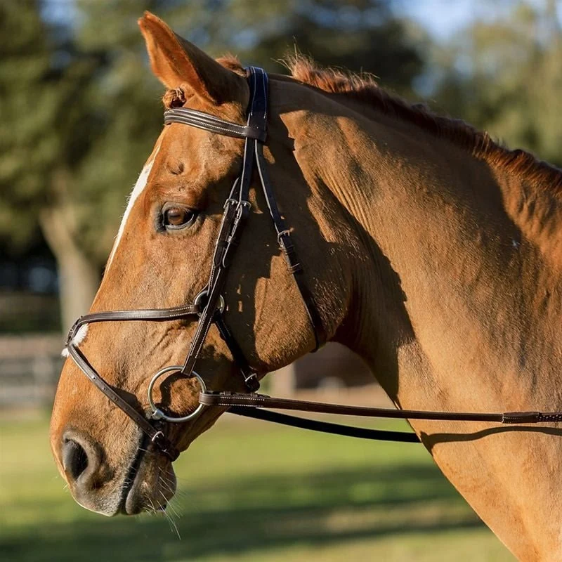 Equinavia Saga Fancy Stitched Figure 8 Bridle Chocolate Brown / Warmblood