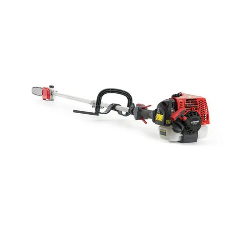 PRORUN Gas Pole Saw 25.4cc with 10-in Bar