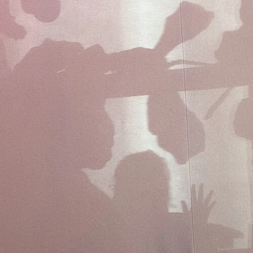 Nicole Mitchell - Written in the Universe New / Vinyl / Written in the Universe Psychic Hotline