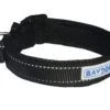 Baydog Tampa Dog Collar Black / X-Large