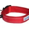 Baydog Tampa Dog Collar Clifford Red / XX-Large (23.5-26")