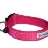 Baydog Tampa Dog Collar Sunset Pink / XX-Large (23.5-26")