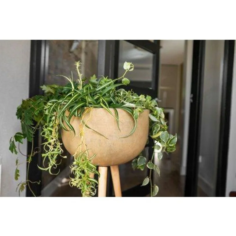 Vaso de chao cimento com pes de madeira alina camel 55cm