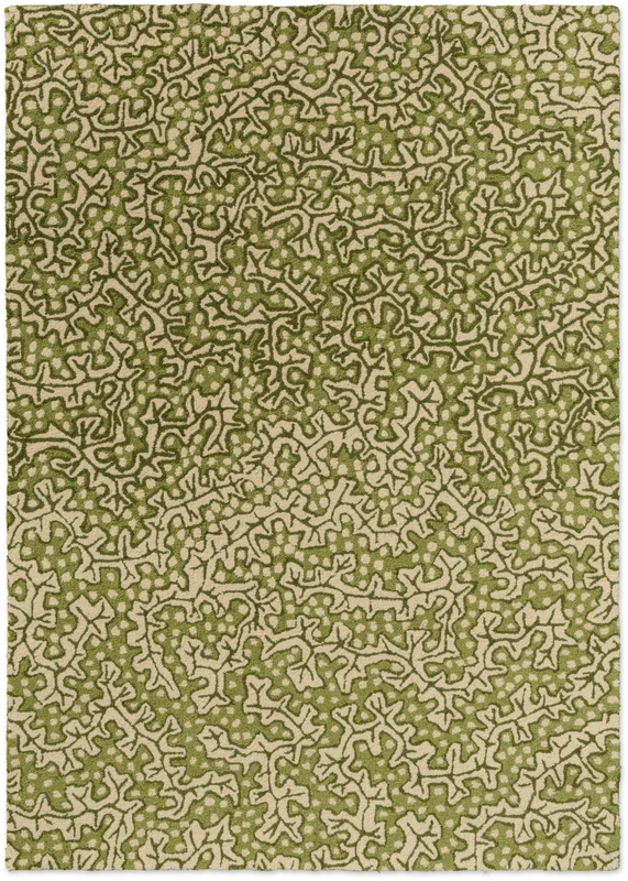 Brink and Campman Truffle Olive Area Rug by Sanderson 4' 7'' X 6' 7'' Rectangle