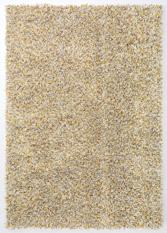 Brink and Campman Young Chutney Area Rug 5' 3'' X 7' 6'' Rectangle