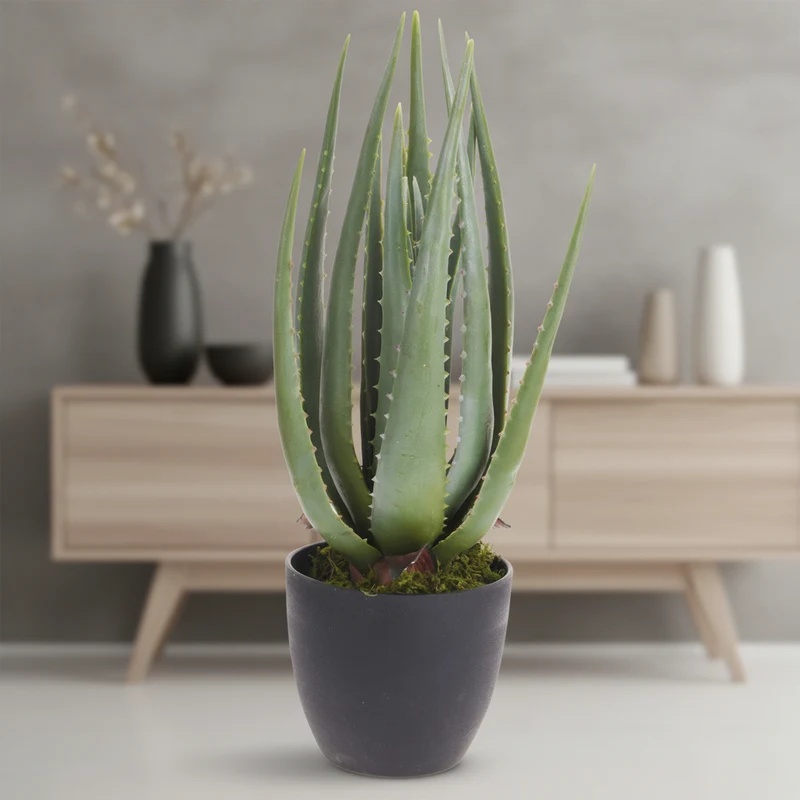 Vaso pianta artificiale Aloe decorativa verde da 45 cm per interno
