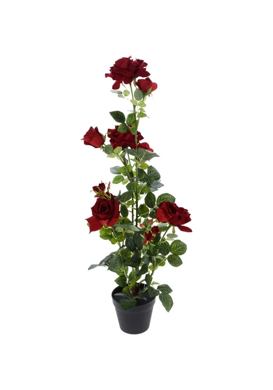 Decoration Rose Plant - / One Size