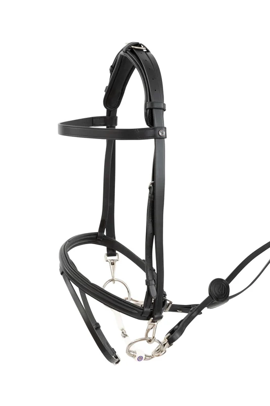 Hamburg Training Bridle W Padding & Rubber Reins Black/Silver WB