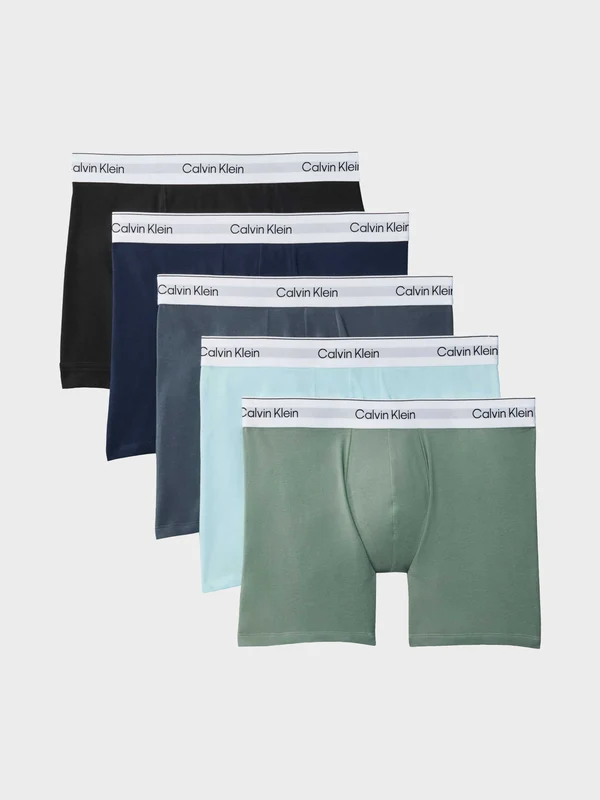 Calvin Klein - Men's Pack Of 5 Boxer Briefs Multi Color / L
