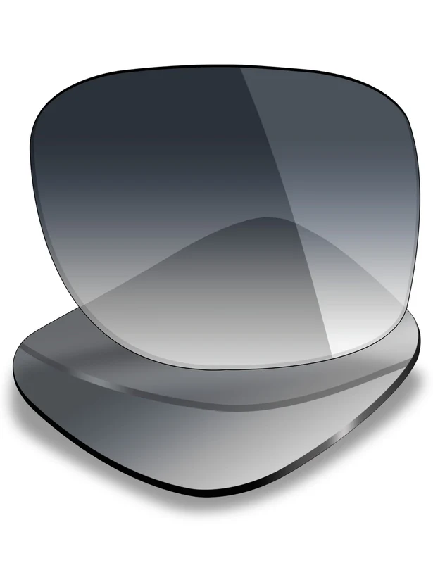 Wiley X Rebel Replacement Lenses by MRY Gray Gradient / Non-polarized