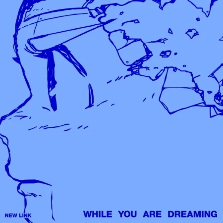 New Link – [While You Are Dreaming] 1st Album