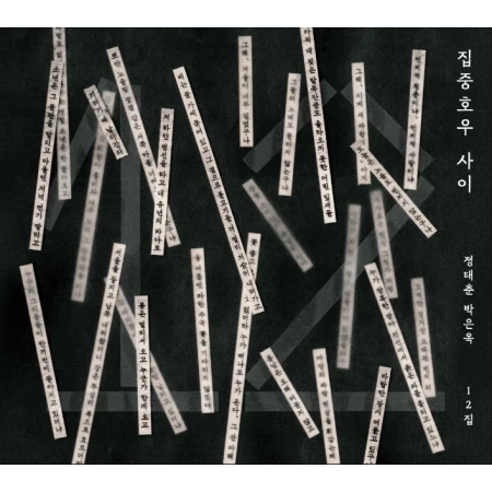 JEONG TAE CHUN, BAK EUN OK - [IN BETWEEN TORRENTIAL RAIN] 12th Album