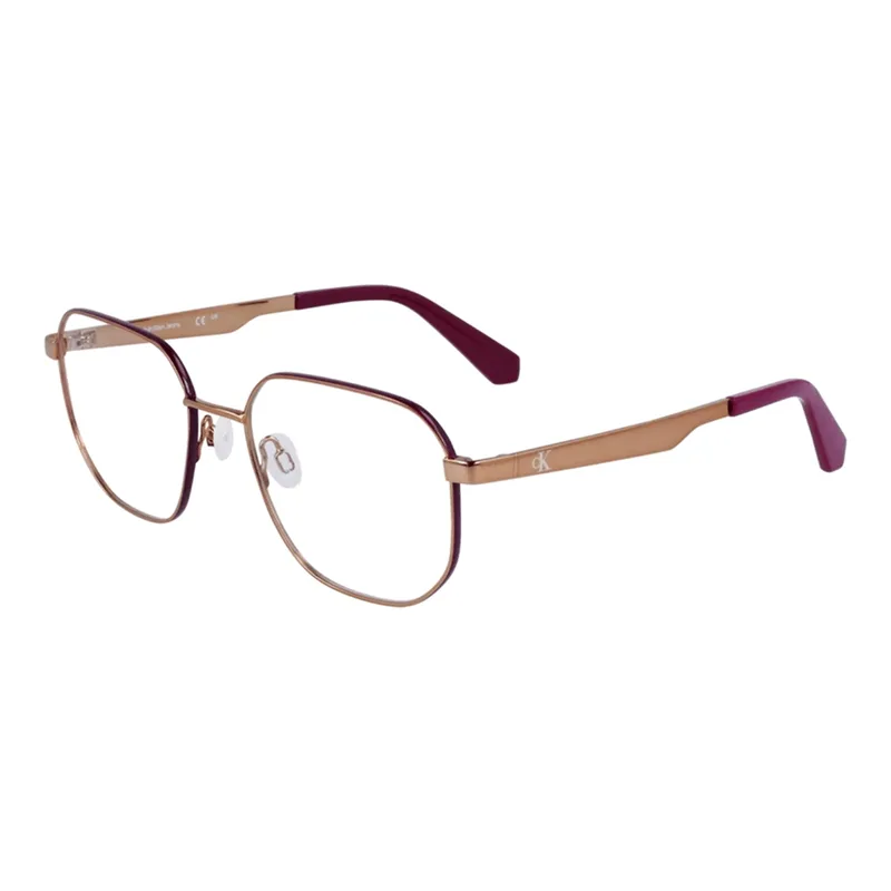 Armação para Óculos de Grau Unissex Calvin Klein Jeans CKJ23222 Dourado e Roxo