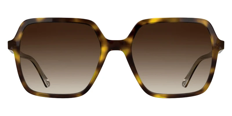 Calvin Klein - CK26531S Havana 240 / 55-19-145