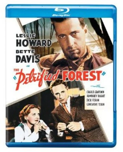 The Petrified Forest New / Blu-ray Disc / The Petrified Forest (TCMV1000347637BR)