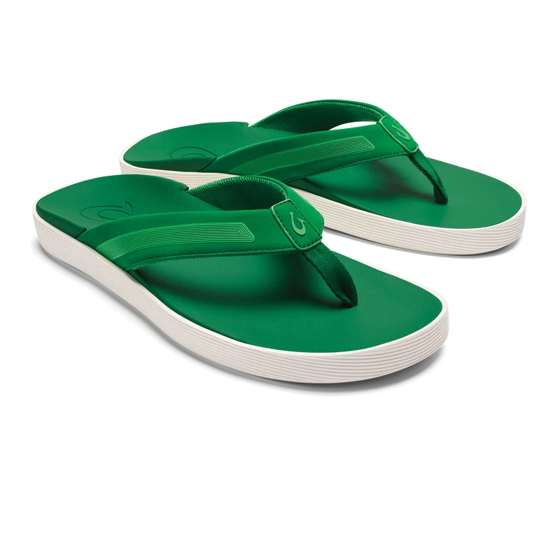 Leeward Bamboo / Bamboo 11