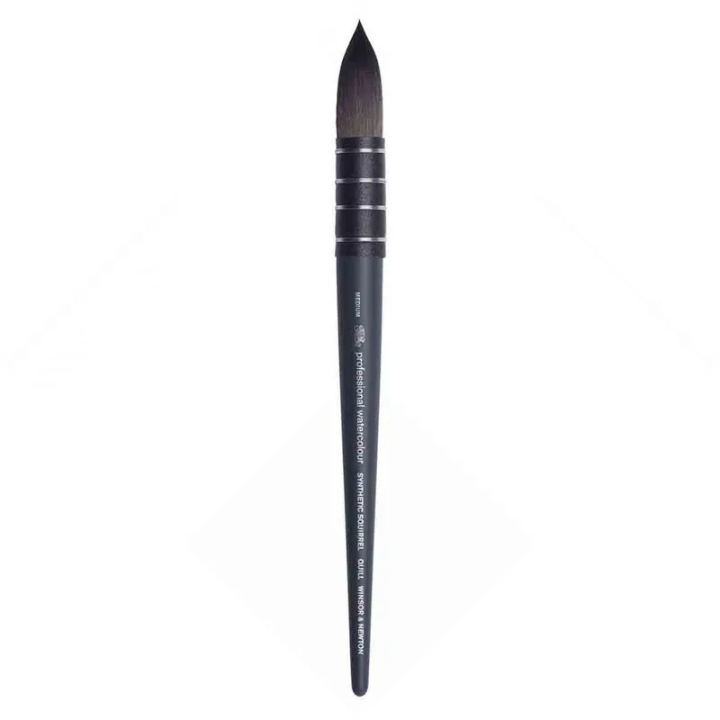 Pincel Squirrel Winsor E Newton Professional Medium