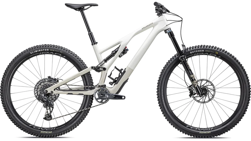2023 Specialized Stumpjumper EVO Expert - SRAM GX Eagle AXS, FOX Performance Elite Gloss Birch / Taupe / S4