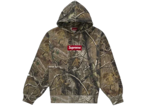 Supreme Box Logo Hooded Sweatshirt (FW25) Realtree AP Camo S