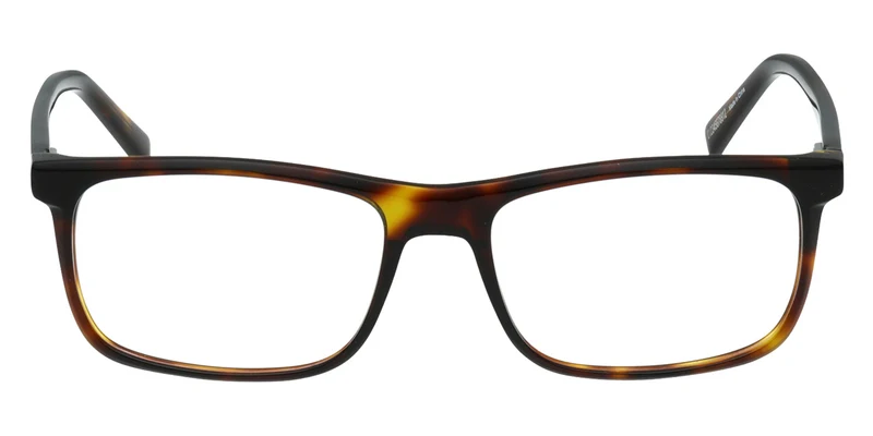 Viva - VV50039 Dark Havana 052 / 55-17-145