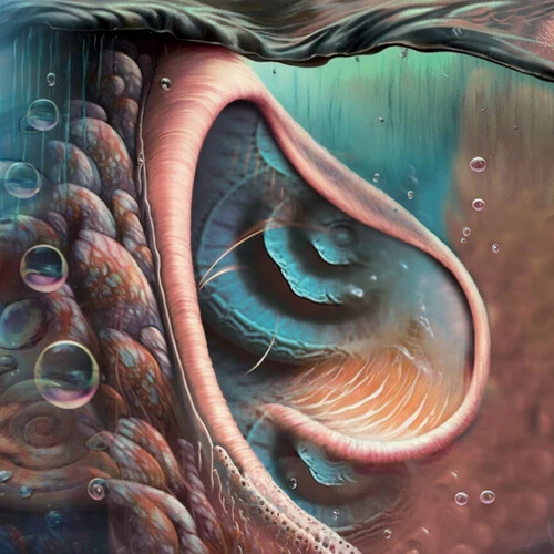 Various Artists - Meddle Reimagined: A Tribute To Pink Floyd New / Vinyl / Meddle Reimagined: A Tribute To Pink Floyd Cleopatra