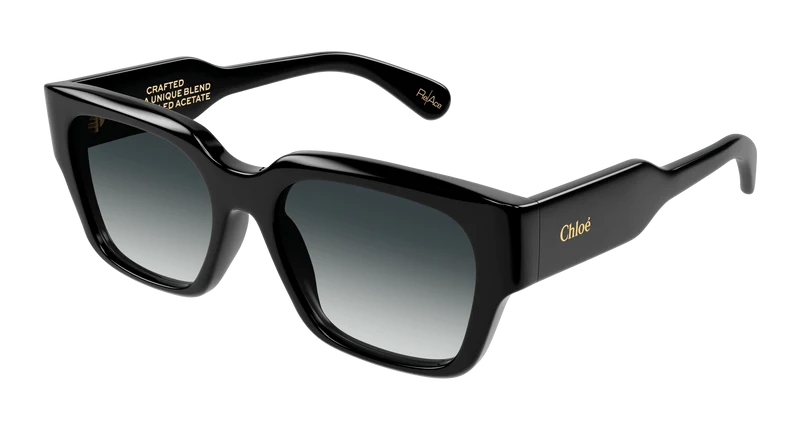Chloé CH0190S 54mm / BLACK / GREY