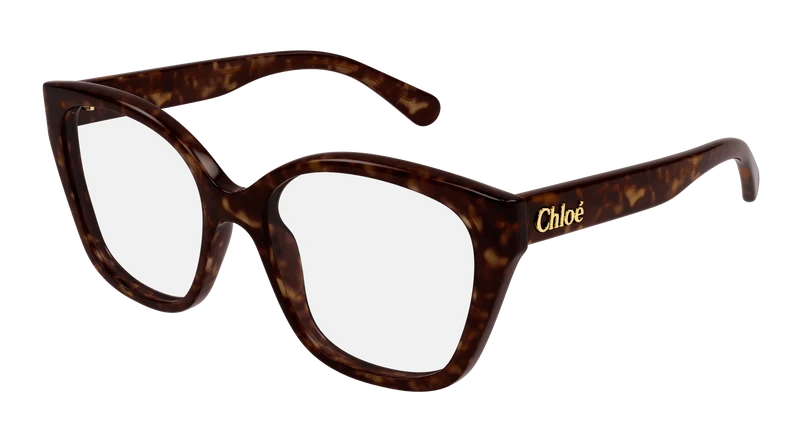 Chloé CH0241O 53mm / HAVANA / TRANSPARENT