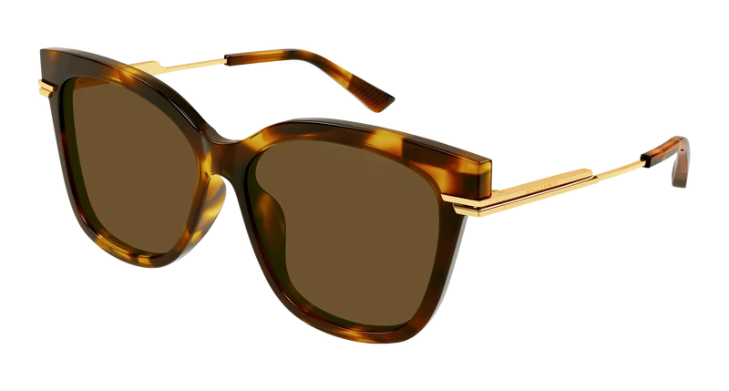 Bottega Veneta BV1296SA Asian Fit 57mm / HAVANA / GOLD / BROWN
