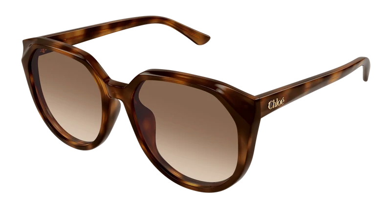 Chloé CH0291SK 58mm / HAVANA / BROWN