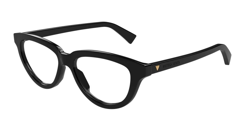 Bottega Veneta BV1366O 53mm / BLACK / TRANSPARENT