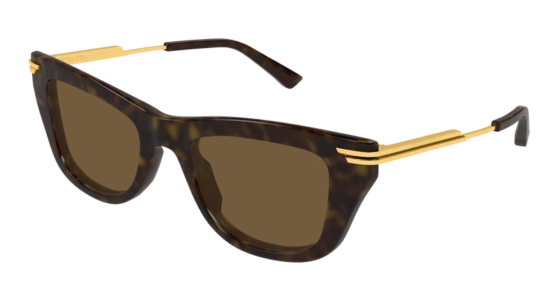 Bottega Veneta BV1369S 50mm / HAVANA / GOLD / BROWN