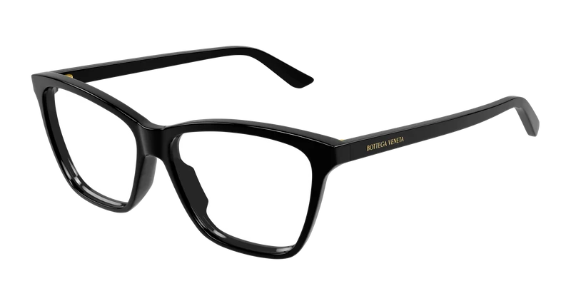 Bottega Veneta BV1421O 55mm / BLACK / TRANSPARENT