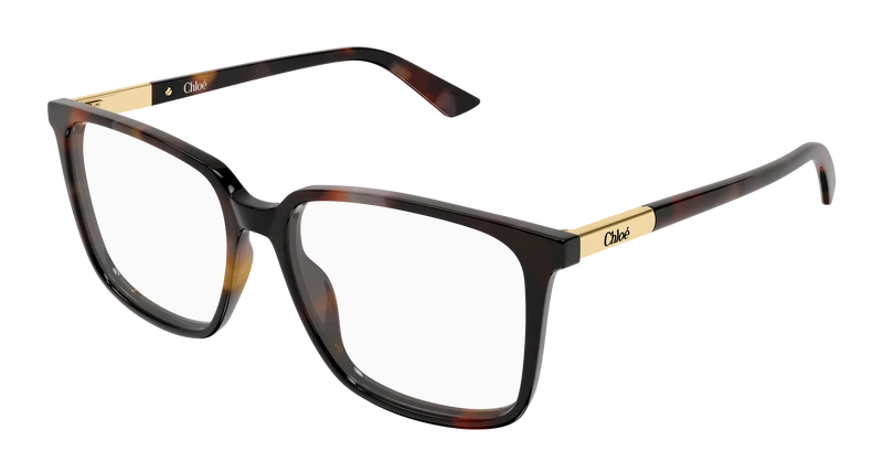 Chloé CH0369O 55mm / HAVANA / TRANSPARENT