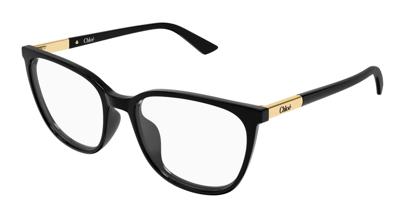 Chloé CH0370OL 53mm / BLACK / TRANSPARENT