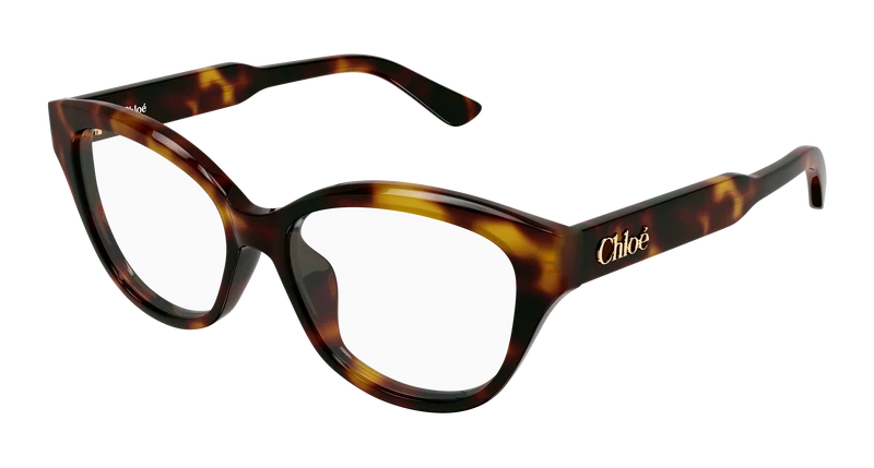 Chloé CH0381OL 51mm / HAVANA / TRANSPARENT