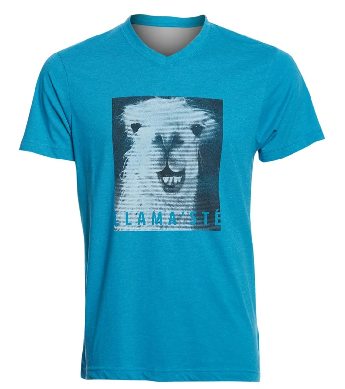 prAna Men's Llama'ste V-Neck Slim Tee Cove Heather / M