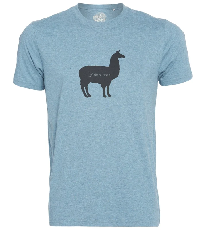 prAna Men's Como Te Journeyman Tee Blue Note Heather / L